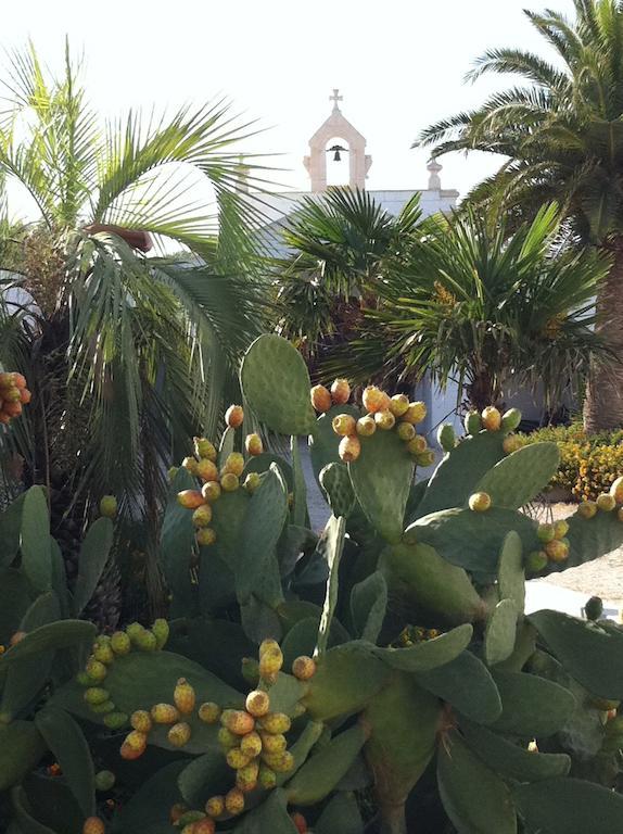 Bauernhof Masseria Torremossa